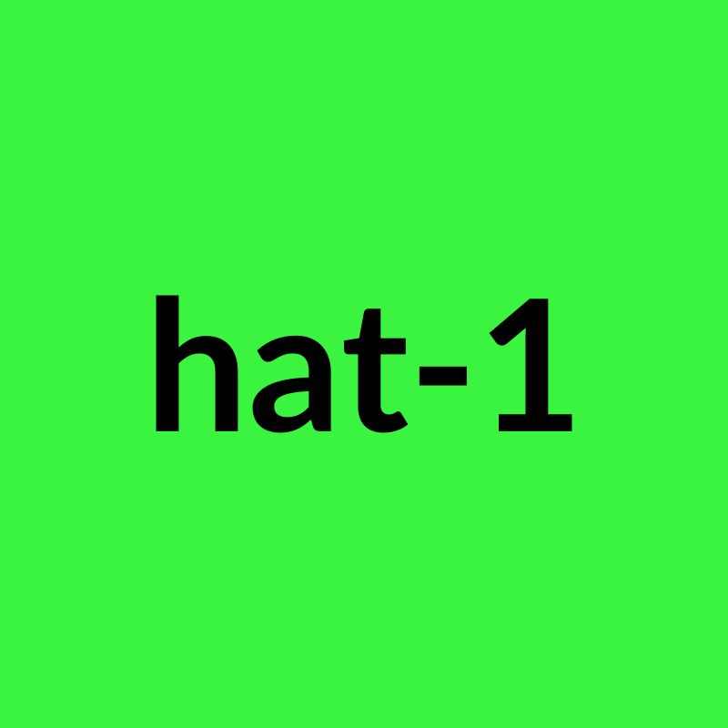 Hat 1